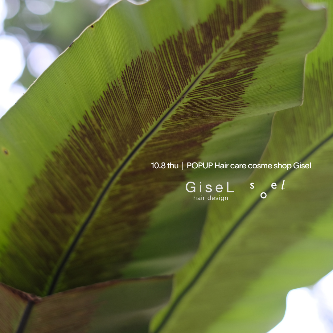 10.8 thu|POPUP Hair care cosme shop Gisel (福岡)