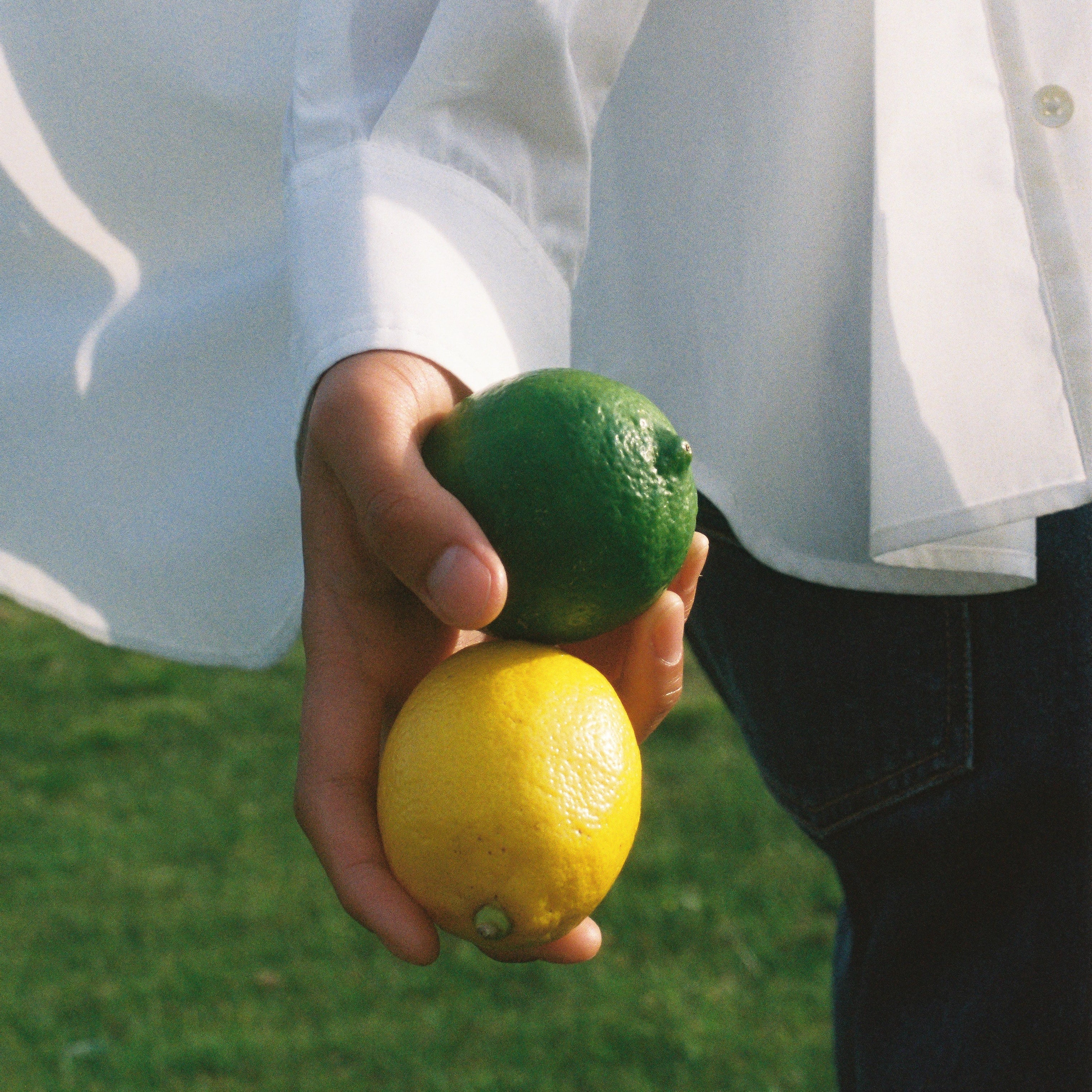 限定 LIVING-OIL Fresh Citrus