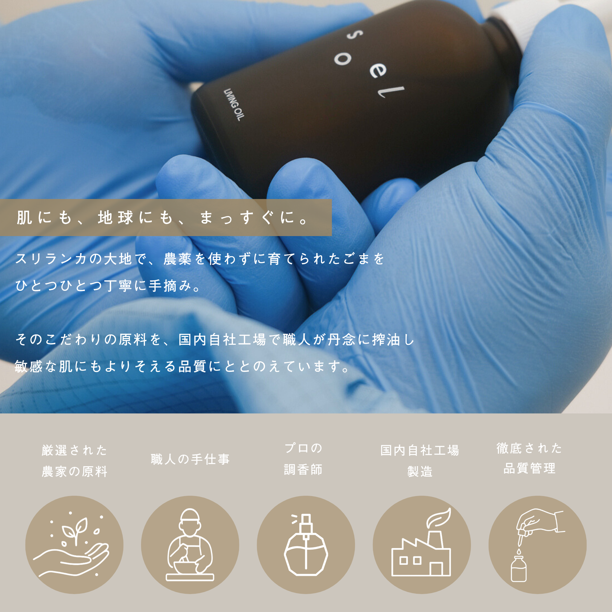 LIVING OIL オーガニックセサミオイル 60mL