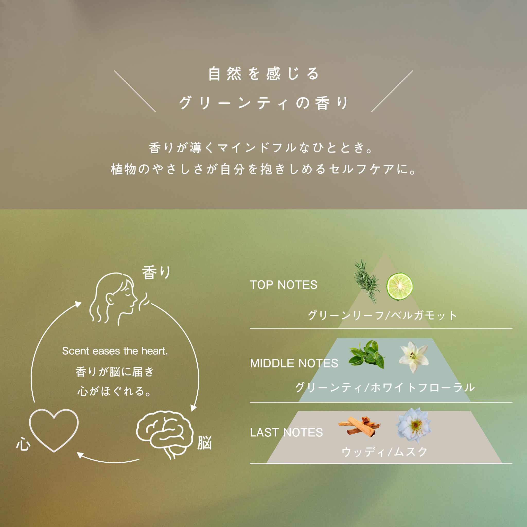 LIVING OIL オーガニックセサミオイル 60mL