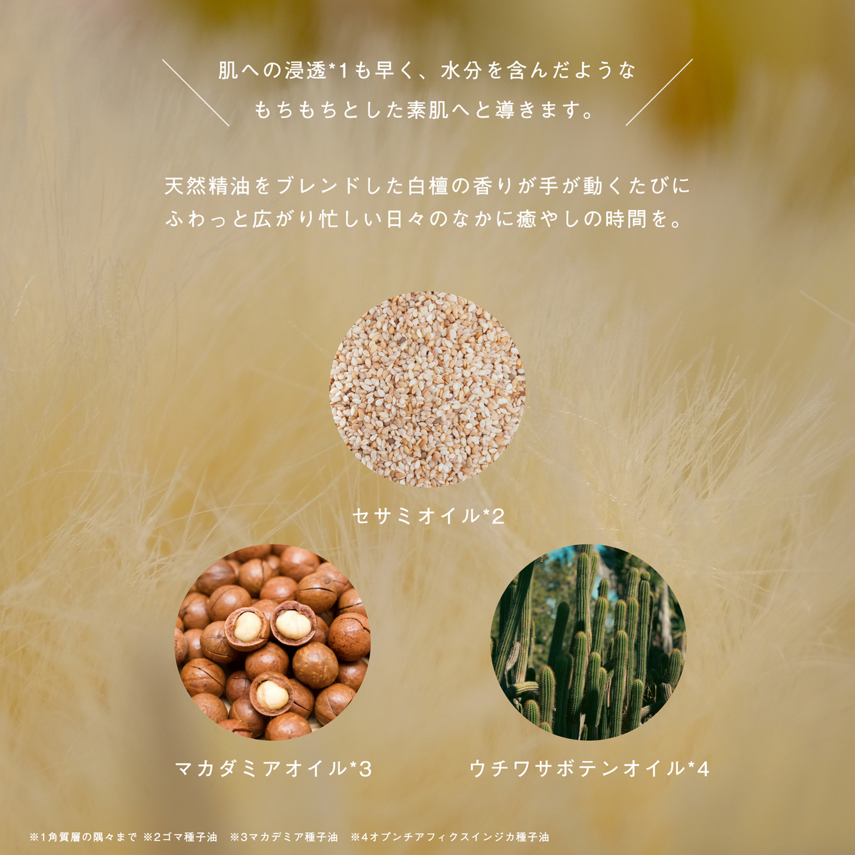 LIVING-OIL ハンドクリーム Powdery Wood 50g