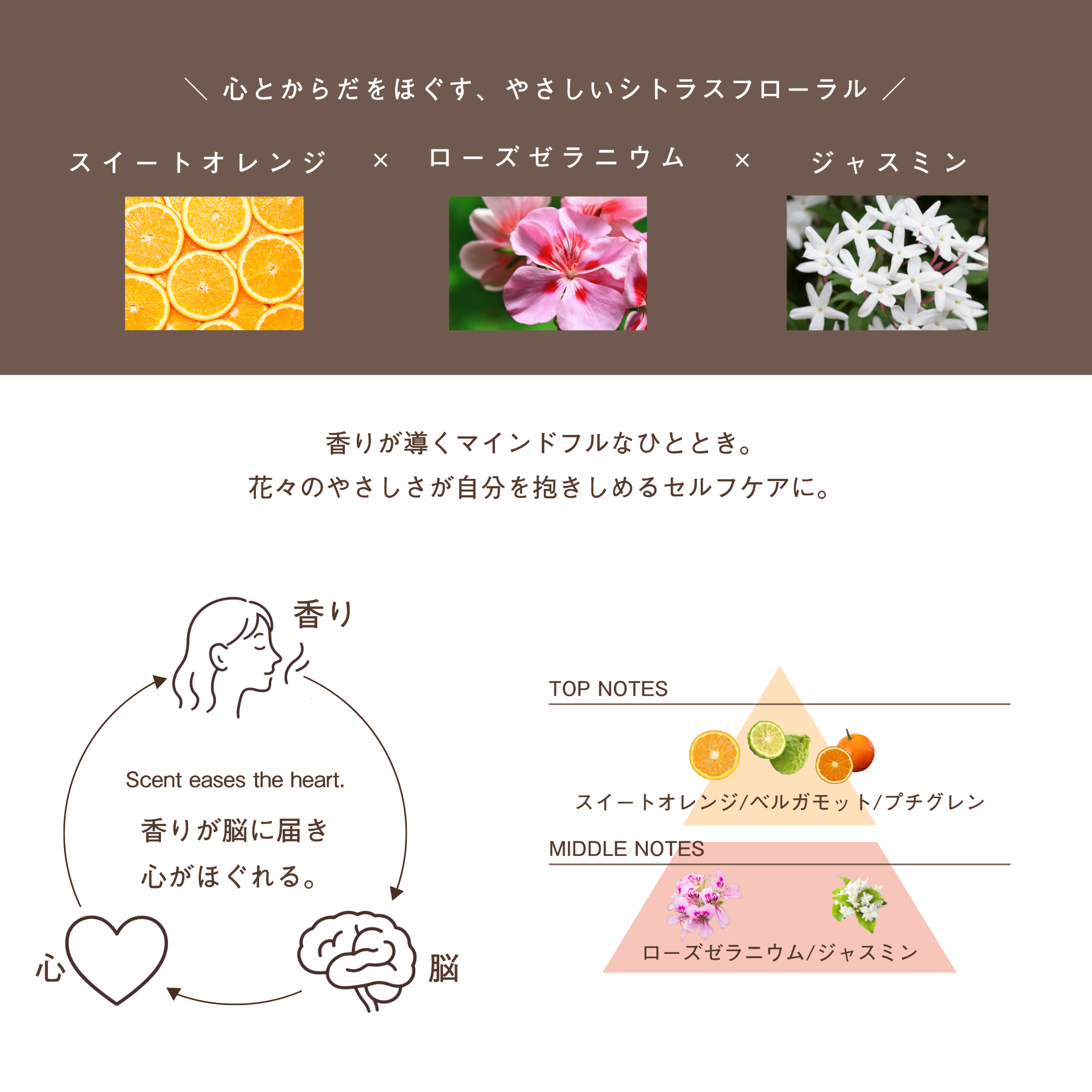 LIVING-OIL DELICATE フェミニンオイル 30mL