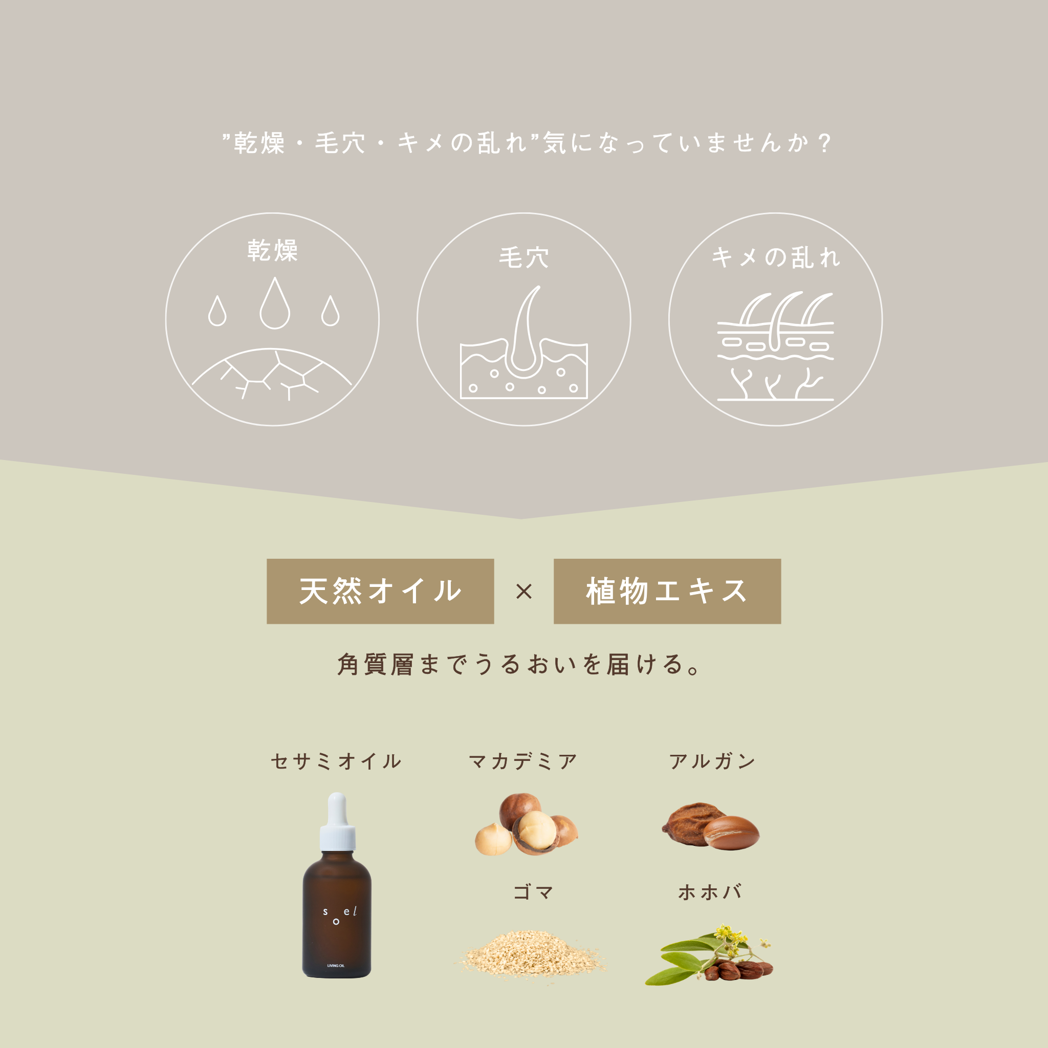 LIVING-OIL LOTION 化粧水 120mL