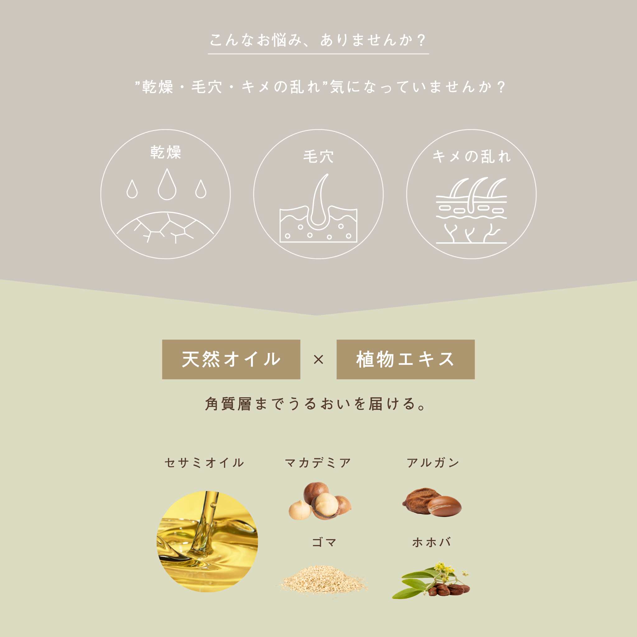 LIVING-OIL LOTION 化粧水 120mL