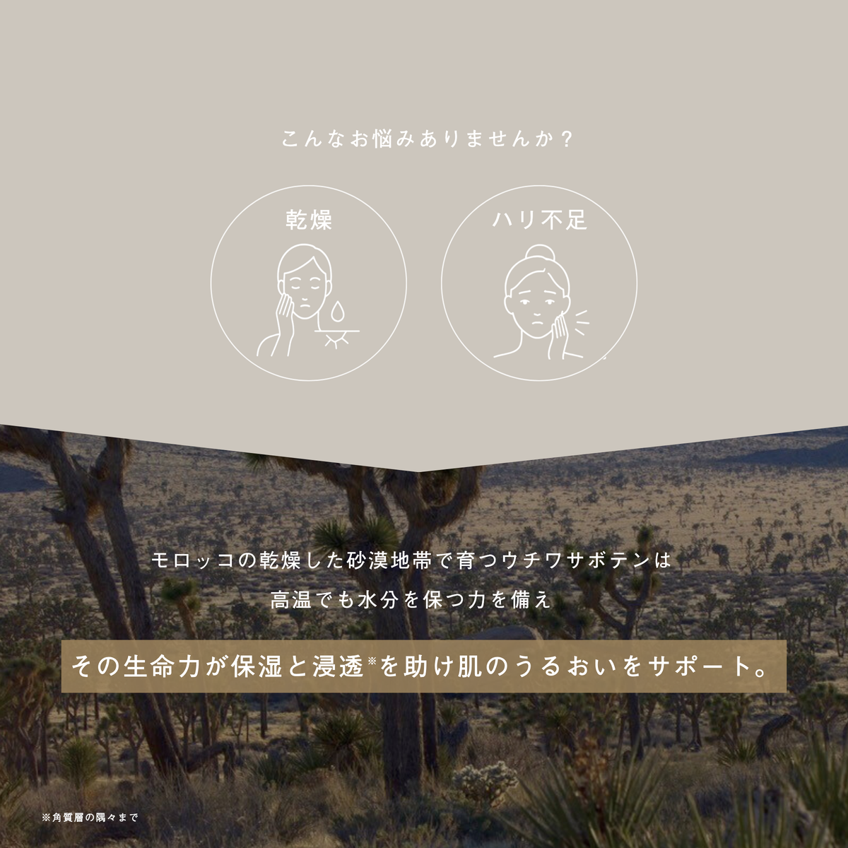 LIVING-OIL CACTUS ウチワサボテンオイル 30mL