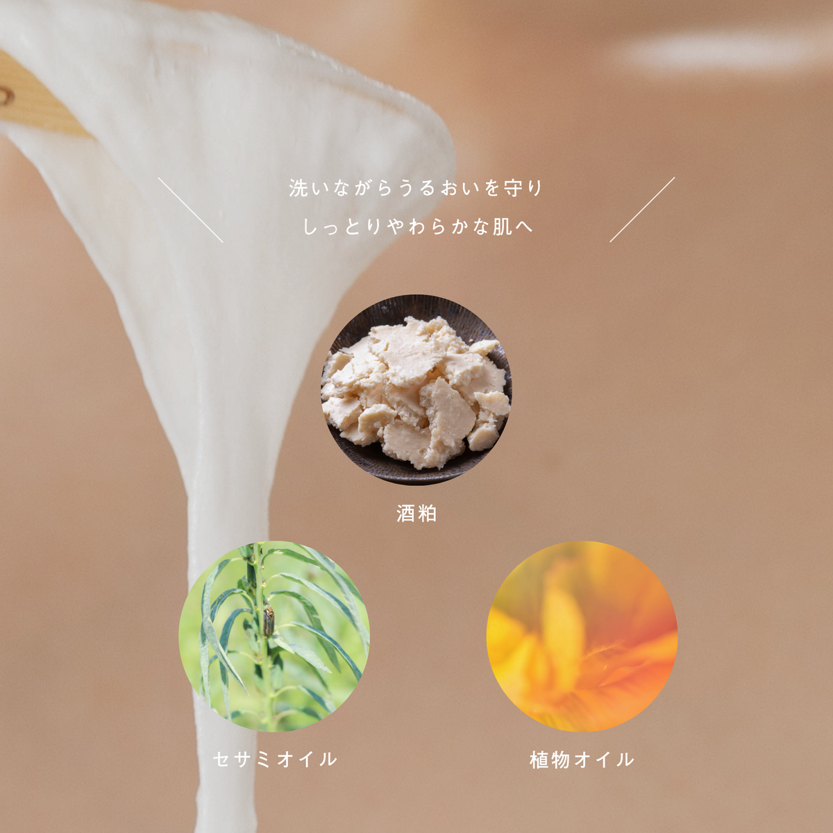 LIVING-OIL SOAP 生せっけん 100mL
