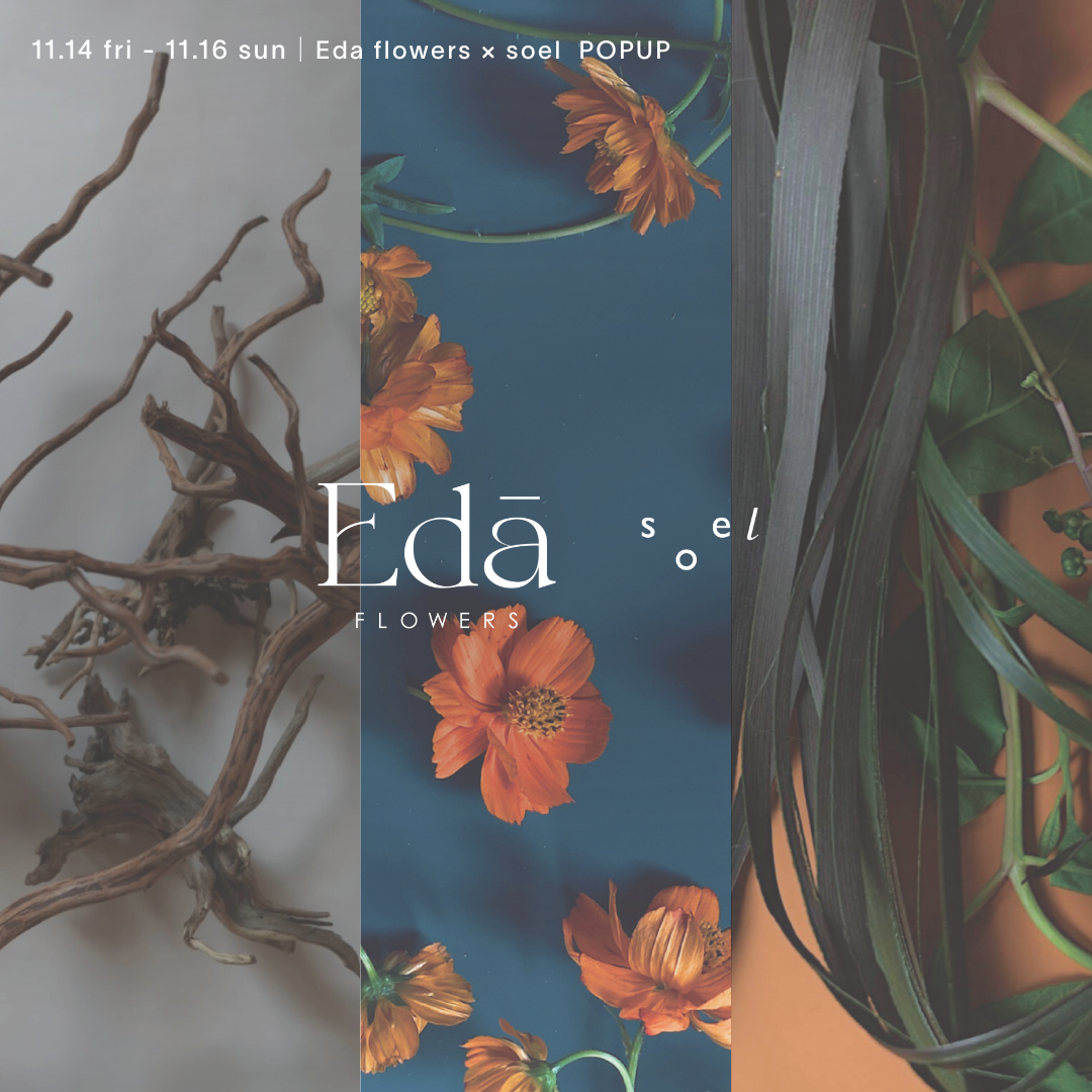 11/14-11/16 │ Eda flowers × soel POPUP 福岡