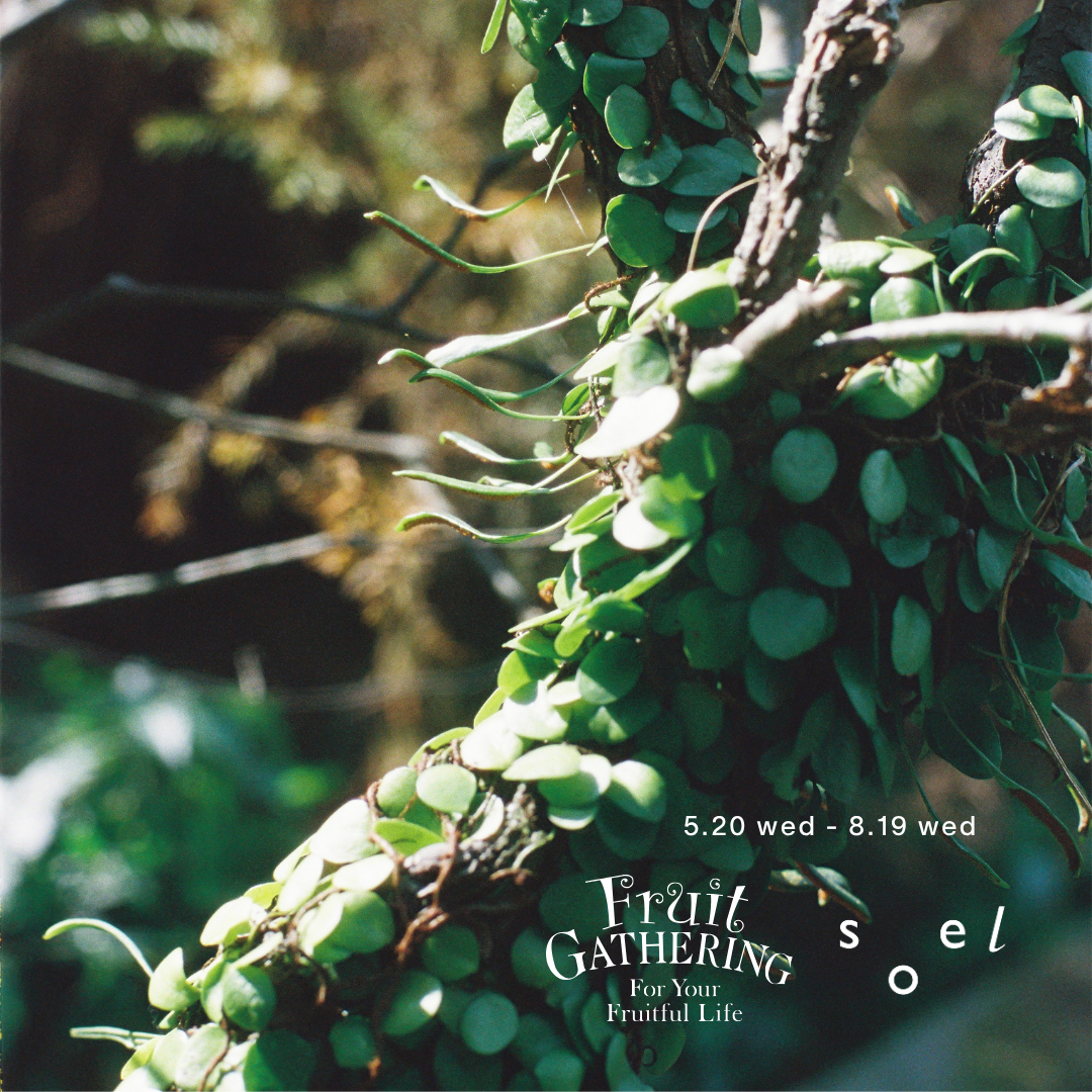 5/20-8/19｜POPUP Fruit GATHERING 米子しんまち天満屋店（鳥取）