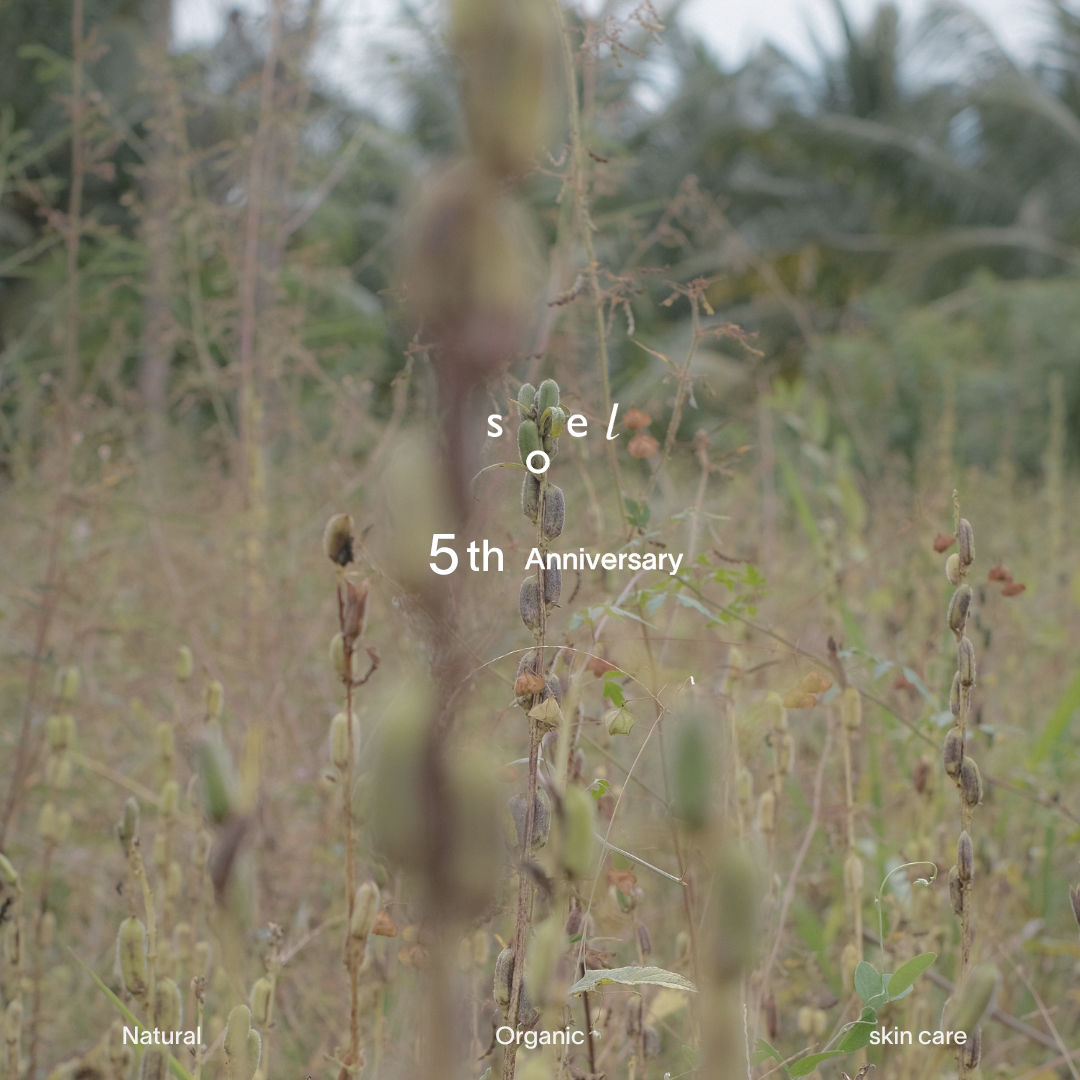 4.1 wed｜Thank you, 5th Anniversary