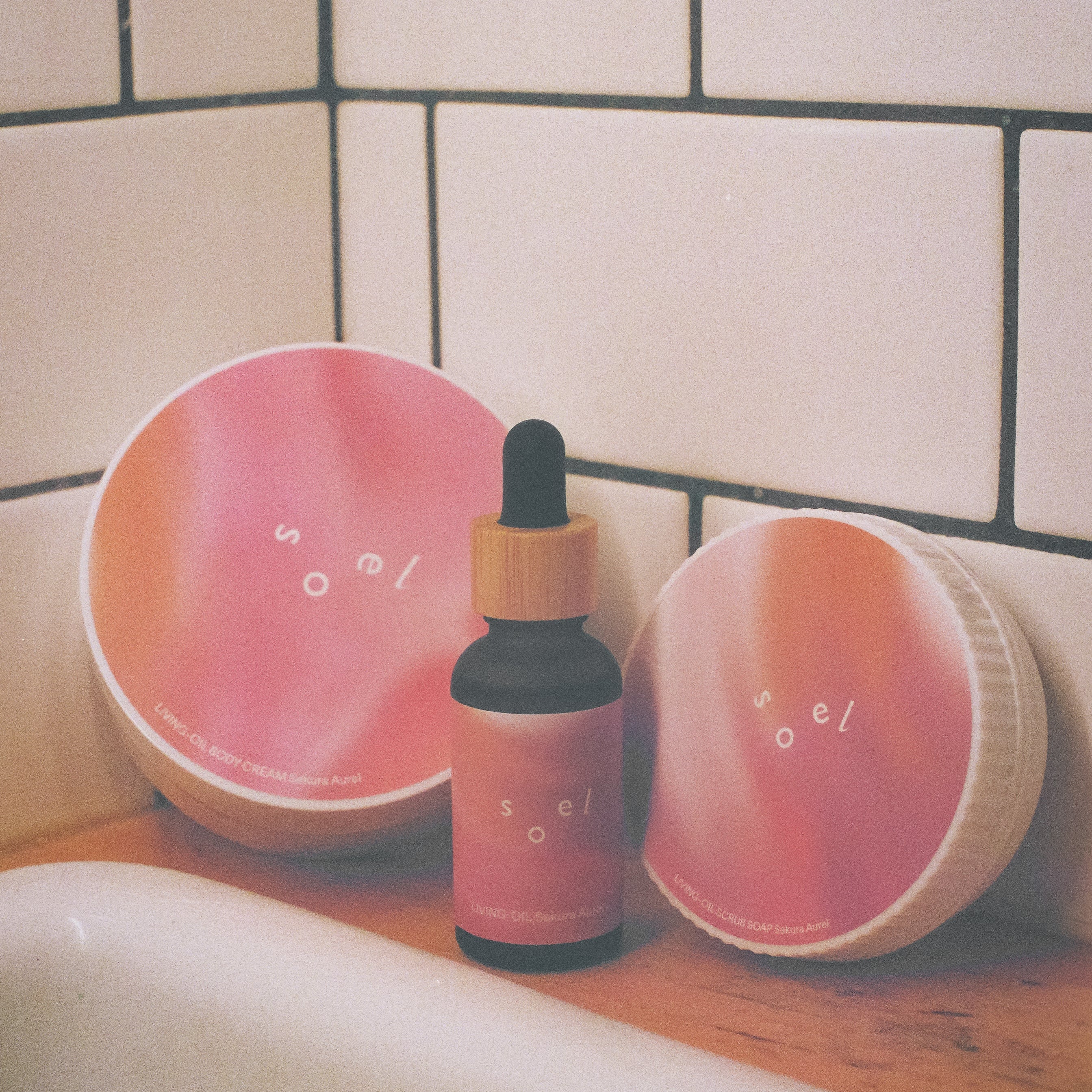 限定 Sakura Aurel セット