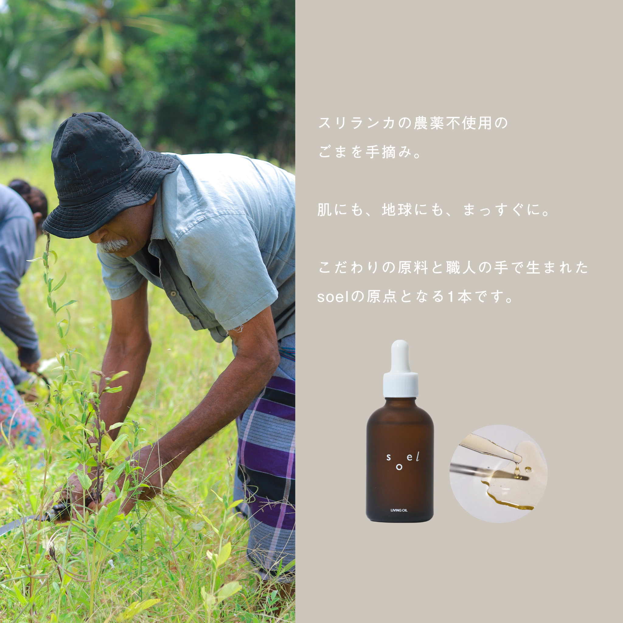 LIVING OIL オーガニックセサミオイル 60mL