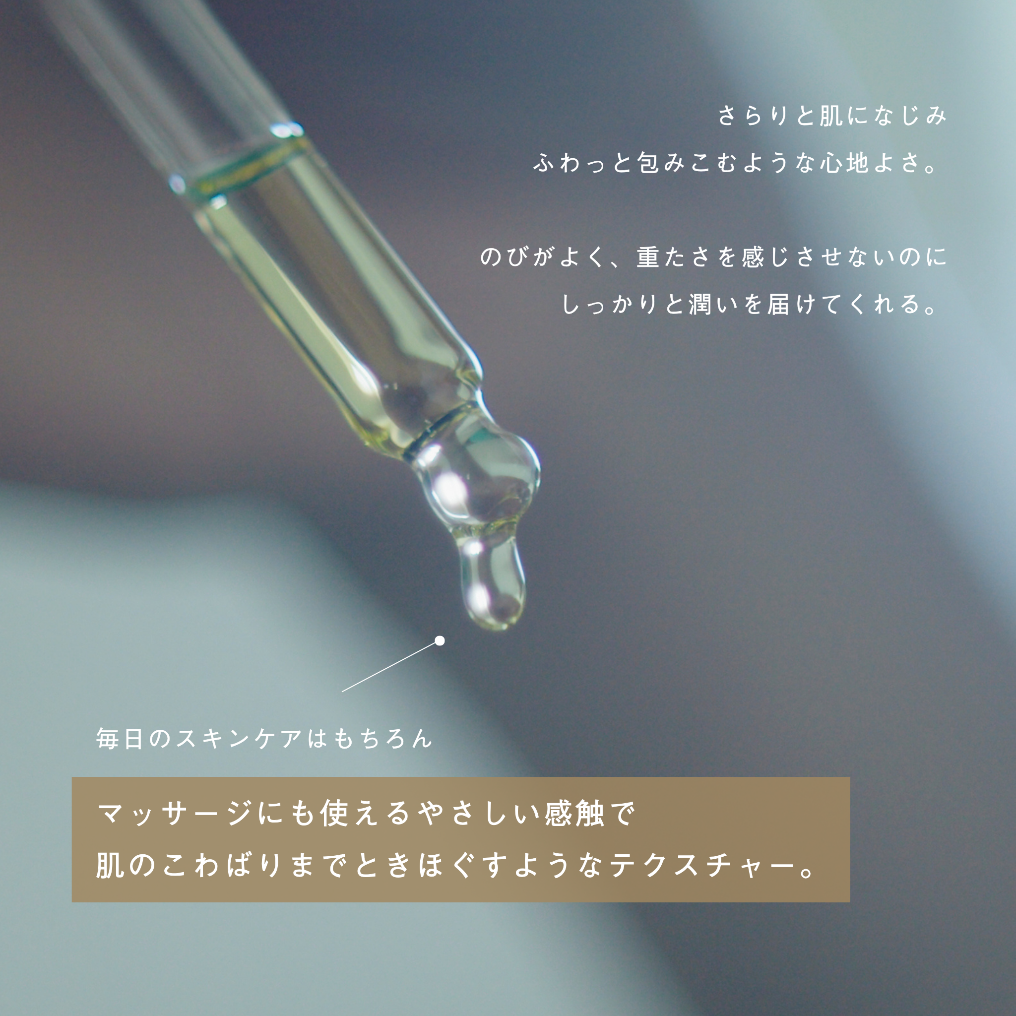 新品soel オーガニックセサミオイル　リビングオイル 60ml 3本 LIVING OIL オーガニックセサミオイル 60mL