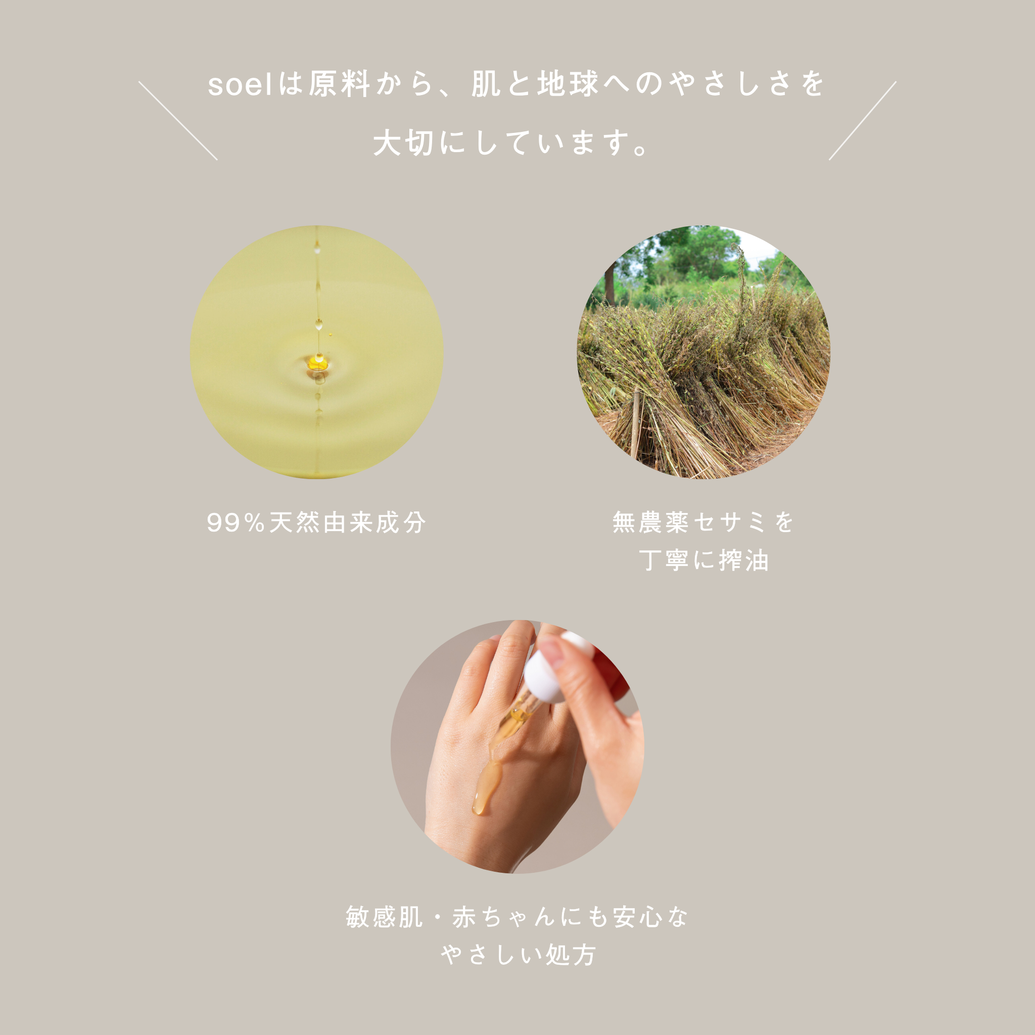 新品soel オーガニックセサミオイル　リビングオイル 60ml ２本 LIVING OIL オーガニックセサミオイル 60mL