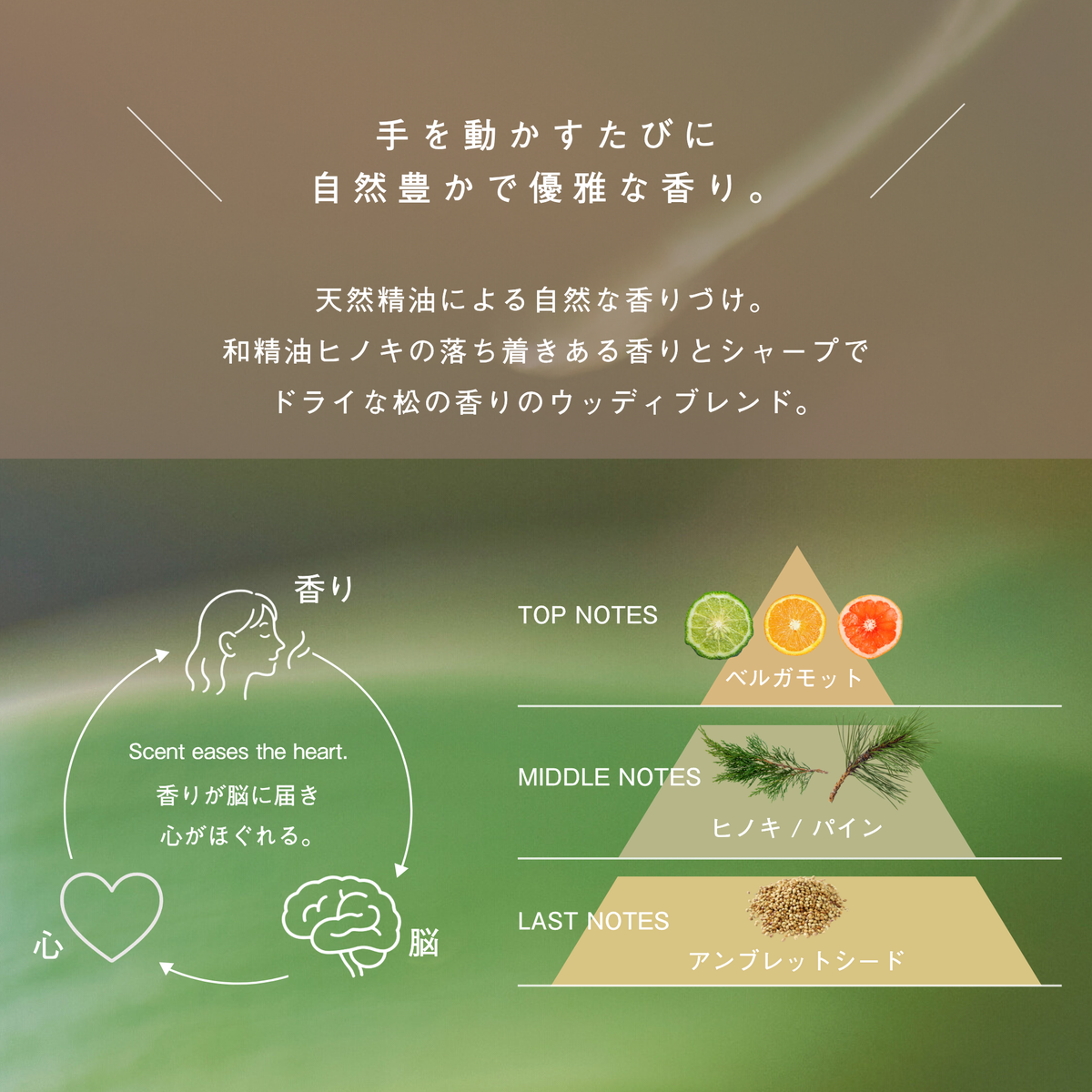 LIVING-OIL ハンドクリーム Hinoki Musk 50g
