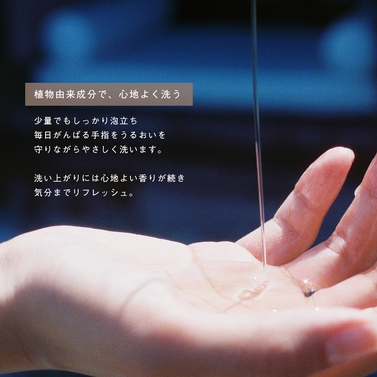 LIVING-OIL ハンドソープ PowderyWood 250mL