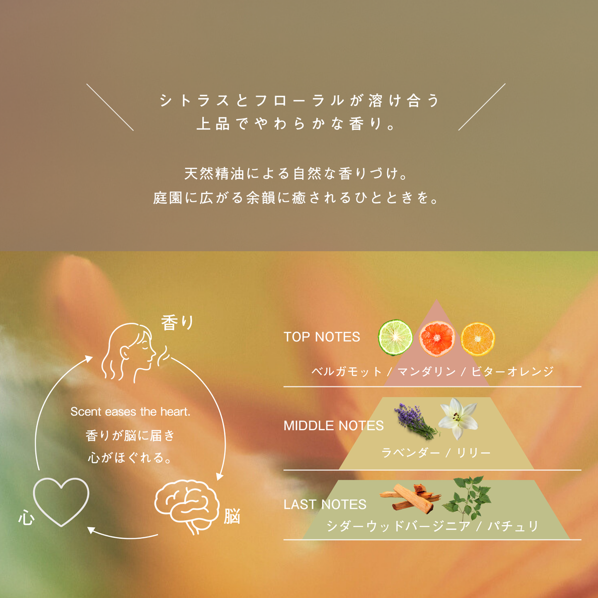LIVING-OIL ハンドソープ PowderyWood 250mL