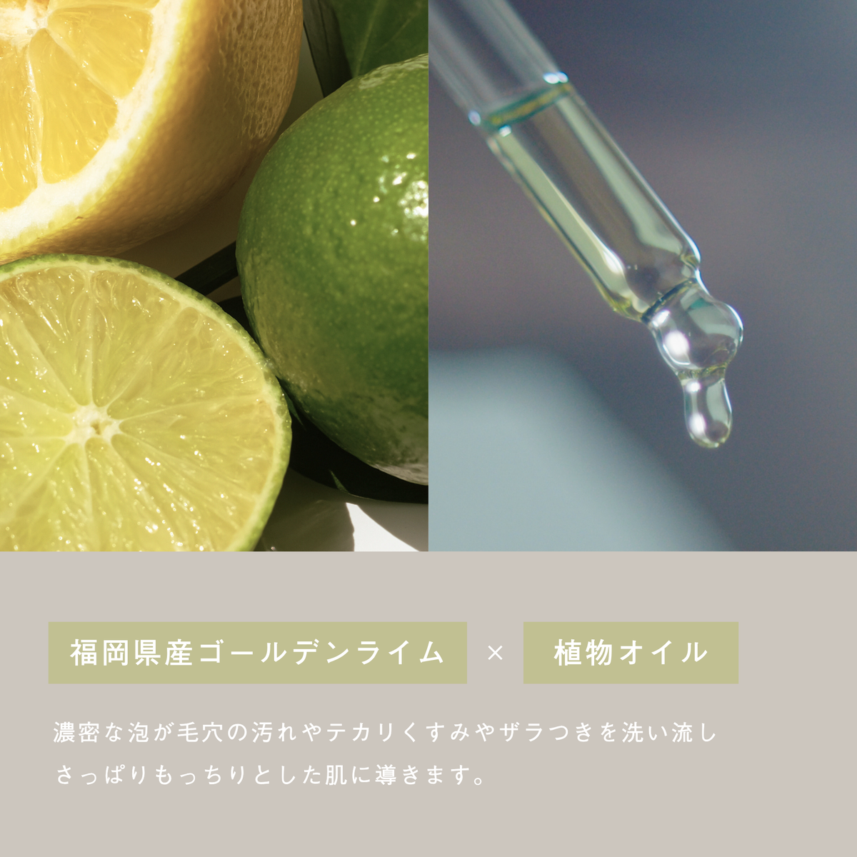 LIVING-OIL SOAP GOLDEN LIME 生せっけん 100mL