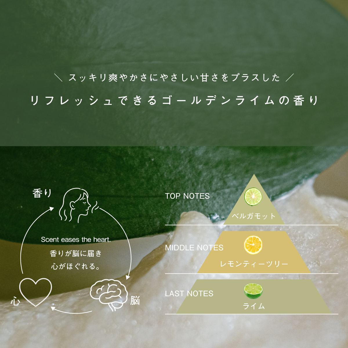 LIVING-OIL SOAP GOLDEN LIME 生せっけん 100mL