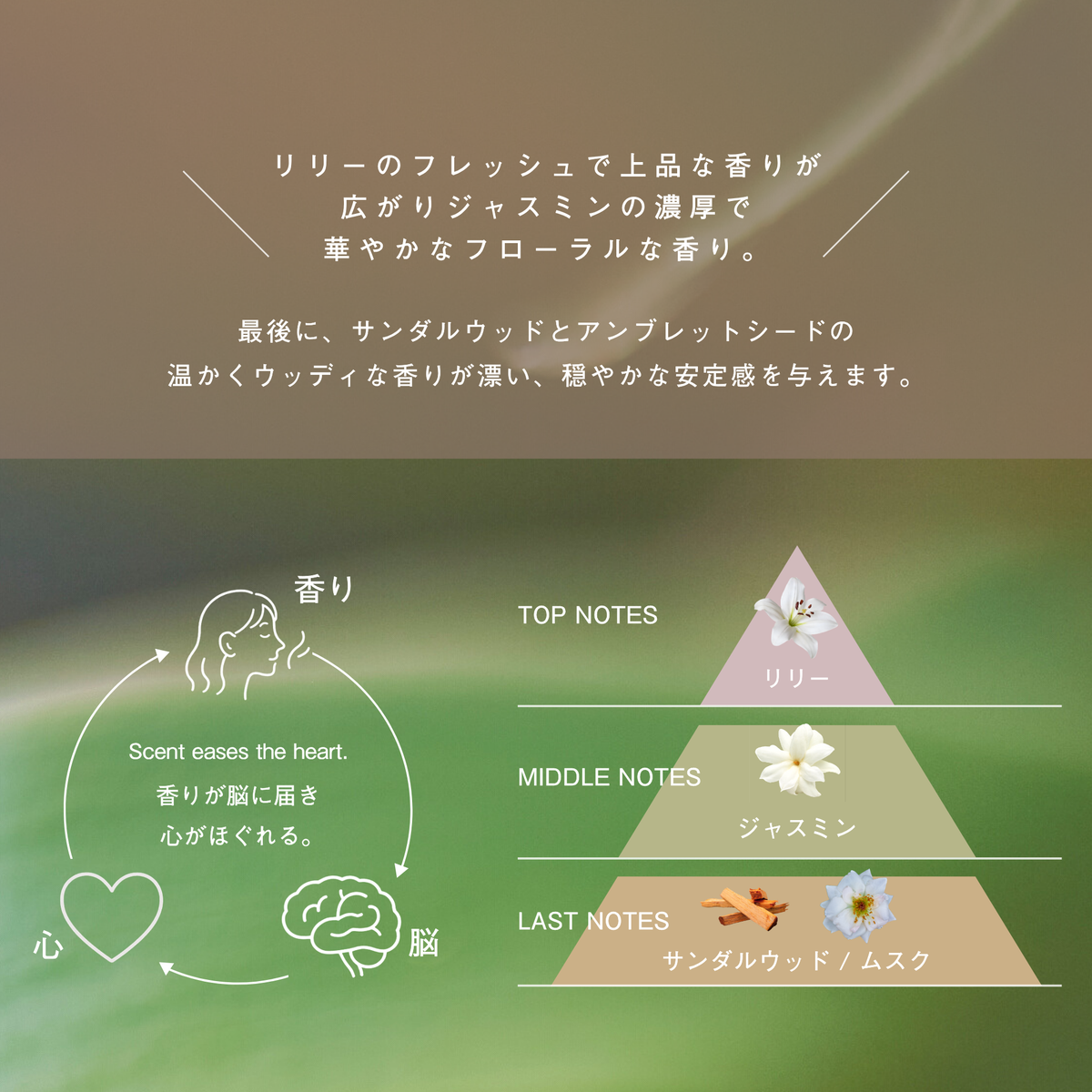 LIVING-OIL ハンドクリーム White Sandalwood 50g