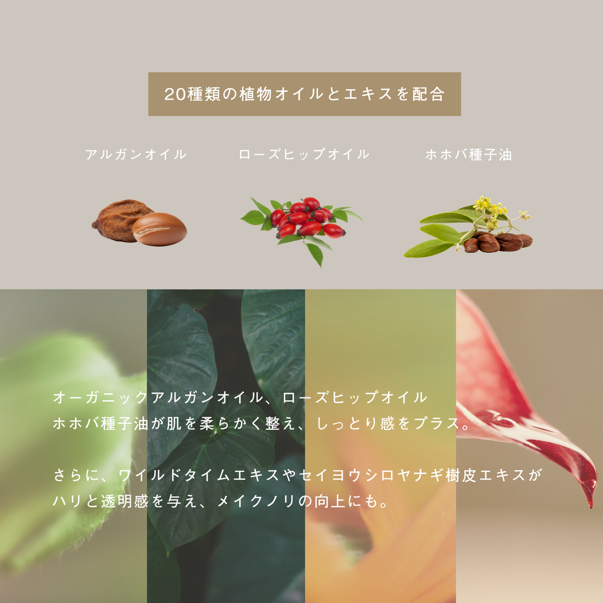 LIVING-OIL CREAM クリーム 50g