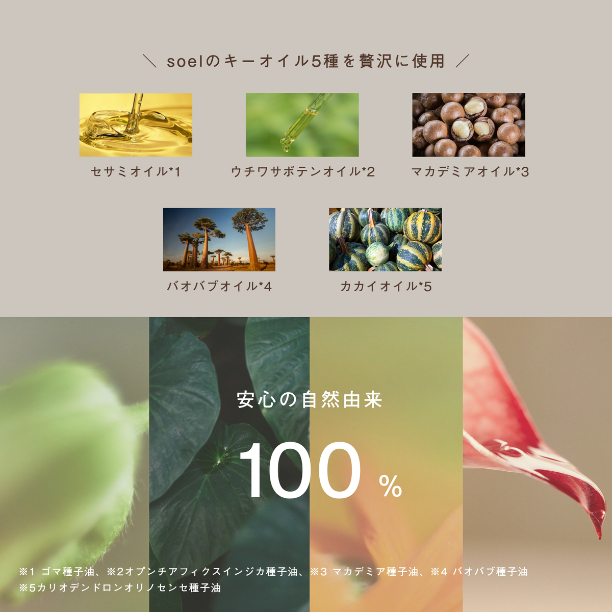 LIVING-OIL ハンドソープ Forest Tea 250mL