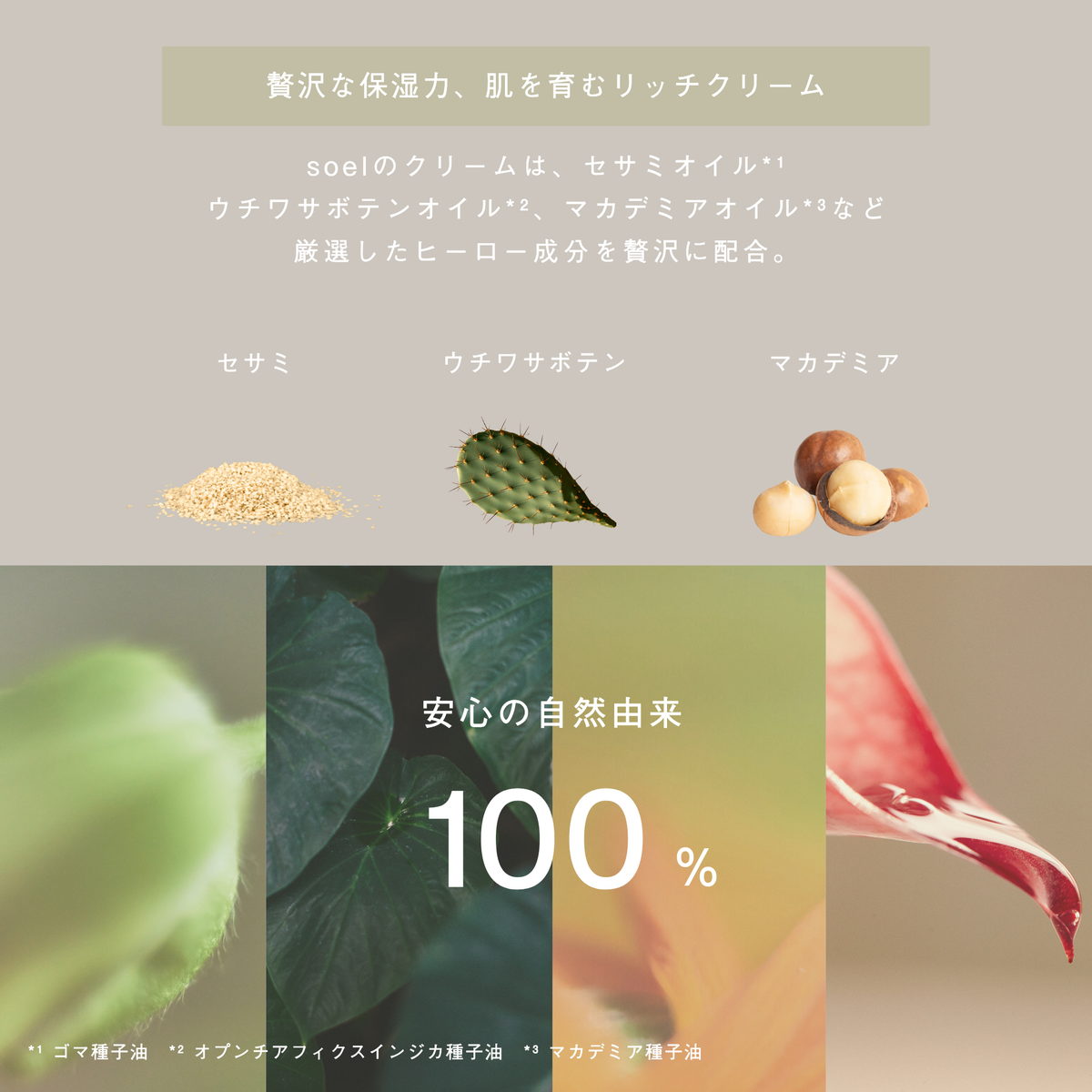 LIVING-OIL RICH CREAM リッチクリーム 30g