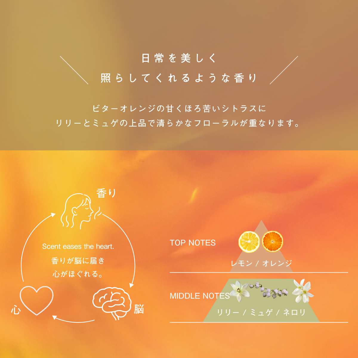 LIVING-OIL RICH CREAM リッチクリーム 30g