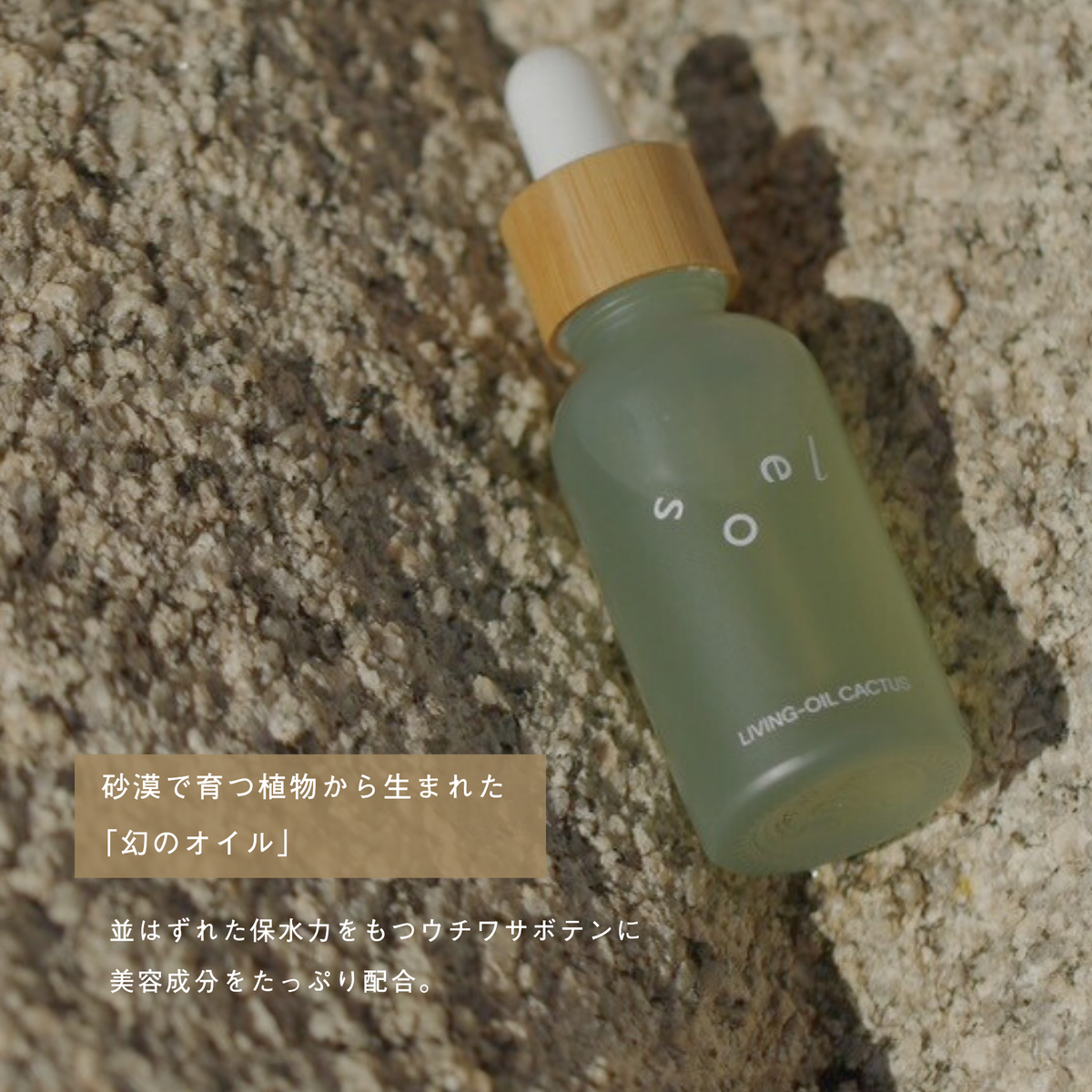 LIVING-OIL CACTUS ウチワサボテンオイル 30mL
