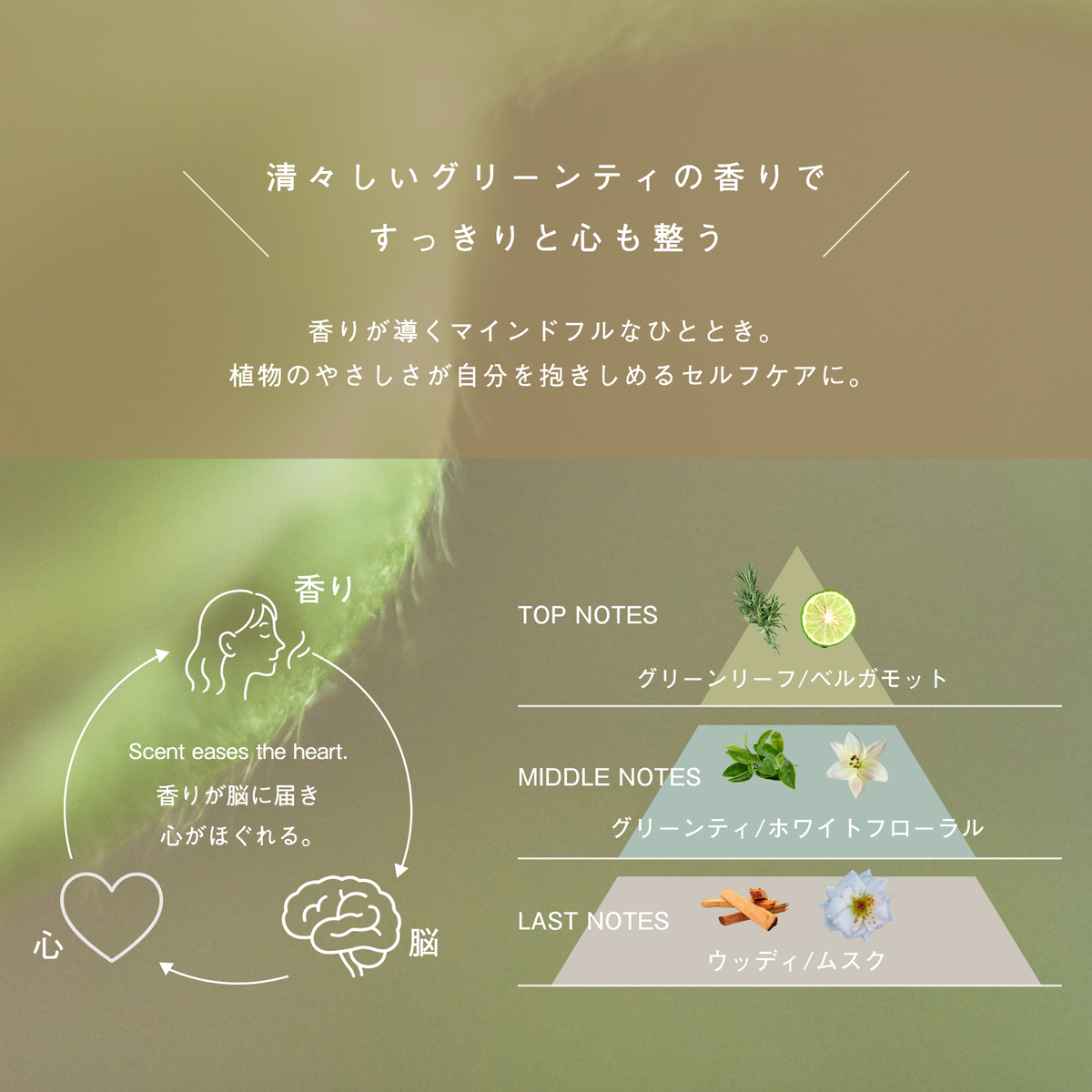 LIVING-OIL SOAP 生せっけん 100mL